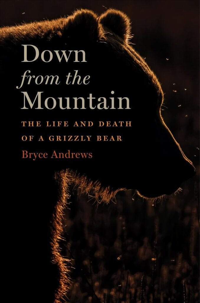 Down from the Mountain: The Life and Death of a Grizzly Bear цена и информация | Tervislik eluviis ja toitumine | kaup24.ee