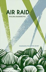 Air Raid цена и информация | Поэзия | kaup24.ee