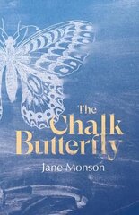 Chalk Butterfly цена и информация | Поэзия | kaup24.ee