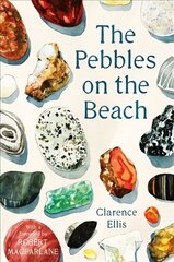 Pebbles on the Beach: A Spotter's Guide Main цена и информация | Книги о питании и здоровом образе жизни | kaup24.ee