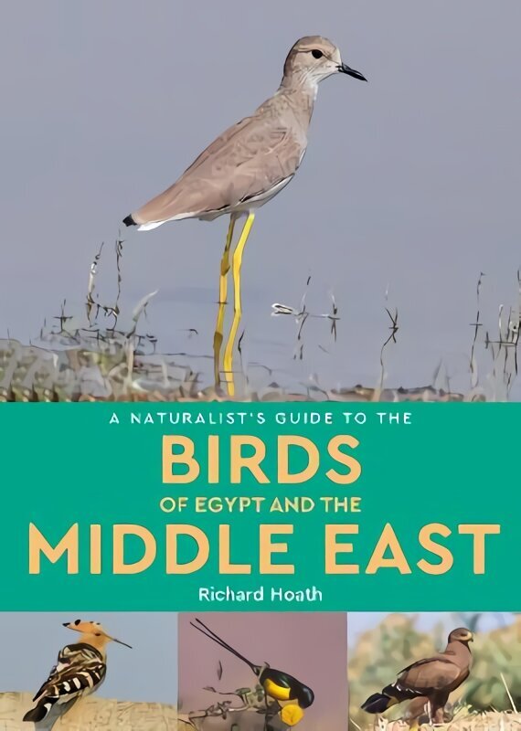 Naturalist's Guide to the Birds of Egypt and the Middle East цена и информация | Entsüklopeediad, teatmeteosed | kaup24.ee