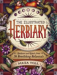 Illustrated Herbiary: Guidance and Rituals from 36 Bewitching Botanicals hind ja info | Tervislik eluviis ja toitumine | kaup24.ee