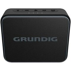 Grundig GLR7746 2500 цена и информация | Аудиоколонки | kaup24.ee