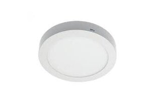 LED-valgusti ORIS PLUS 19W AC220-240V IP20 4000 K 1520 lm 120° цена и информация | Монтируемые светильники, светодиодные панели | kaup24.ee