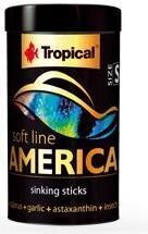 Мягкий корм для всеядных и плотоядных американских рыб Tropical Soft Line America S, 100мл цена и информация | Корм для живой рыбы | kaup24.ee