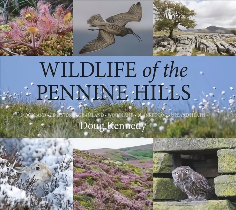 Wildlife of the Pennine Hills: Moorland : Limestone : Grassland : Woodland : Blanket Bog : Upland Heath цена и информация | Tervislik eluviis ja toitumine | kaup24.ee