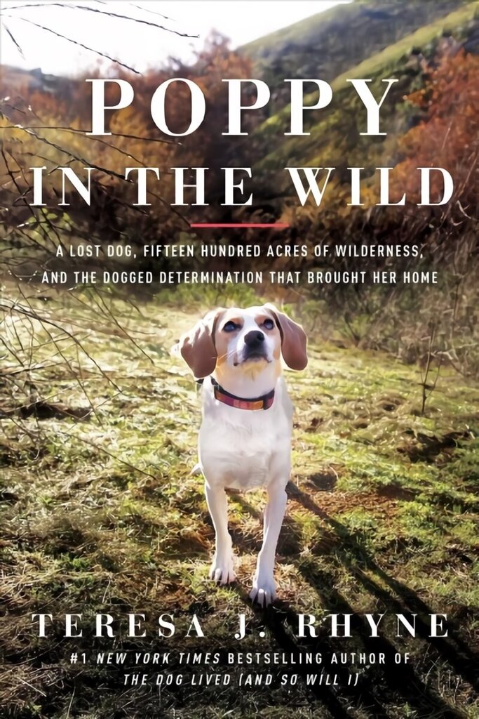 Poppy in the Wild: A Lost Dog, Fifteen Hundred Acres of Wilderness, and the Dogged Determination that Brought Her Home цена и информация | Entsüklopeediad, teatmeteosed | kaup24.ee