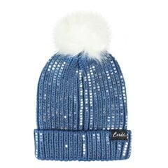 Детская шапка Frozen цена и информация | Шапки, перчатки, шарфы для мальчиков | kaup24.ee