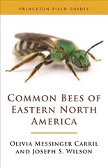 Common Bees of Eastern North America цена и информация | Книги о питании и здоровом образе жизни | kaup24.ee