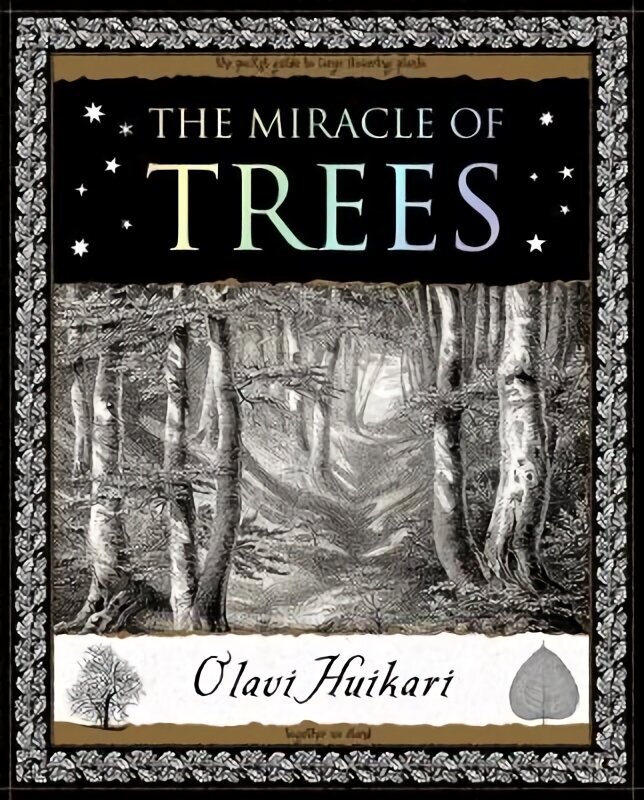 Miracle of Trees: Their Life and Biology hind ja info | Tervislik eluviis ja toitumine | kaup24.ee