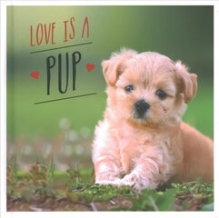 Love is a Pup: A Dog-Tastic Celebration of the World's Cutest Puppies цена и информация | Книги по фотографии | kaup24.ee
