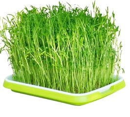 Лоток для выращивания микрозелени Microgreens Tray kaina ir informacija | Вазоны | kaup24.ee