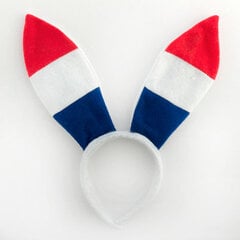Повязка на голову с флагом Франции цена и информация | Карнавальные костюмы | kaup24.ee