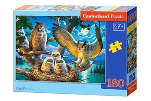 Pusle Castorland Owl Family, 180 tk цена и информация | Пазлы | kaup24.ee