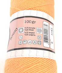 Kudumislõng Lanoso Bonito 100 g, värvus oranž 6 hind ja info | Kudumistarvikud | kaup24.ee