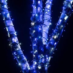 1000 LED-pirniga professionaalne õue valguskett Brosberg, sinine hind ja info | Jõulutuled | kaup24.ee