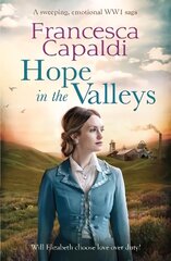 Hope in the Valleys цена и информация | Фантастика, фэнтези | kaup24.ee