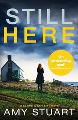 Still Here: An absolutely gripping private investigator crime novel цена и информация | Фантастика, фэнтези | kaup24.ee