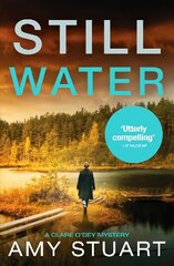 Still Water: An absolutely gripping private investigator crime novel цена и информация | Фантастика, фэнтези | kaup24.ee