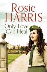 Only Love Can Heal: A captivating multigenerational family saga hind ja info | Fantaasia, müstika | kaup24.ee