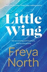 Little Wing: An emotional and heartwarming story, perfect for autumn 2022 цена и информация | Фантастика, фэнтези | kaup24.ee