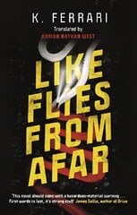 Like Flies from Afar Main цена и информация | Фантастика, фэнтези | kaup24.ee