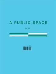 Public Space No. 30 hind ja info | Lühijutud, novellid | kaup24.ee