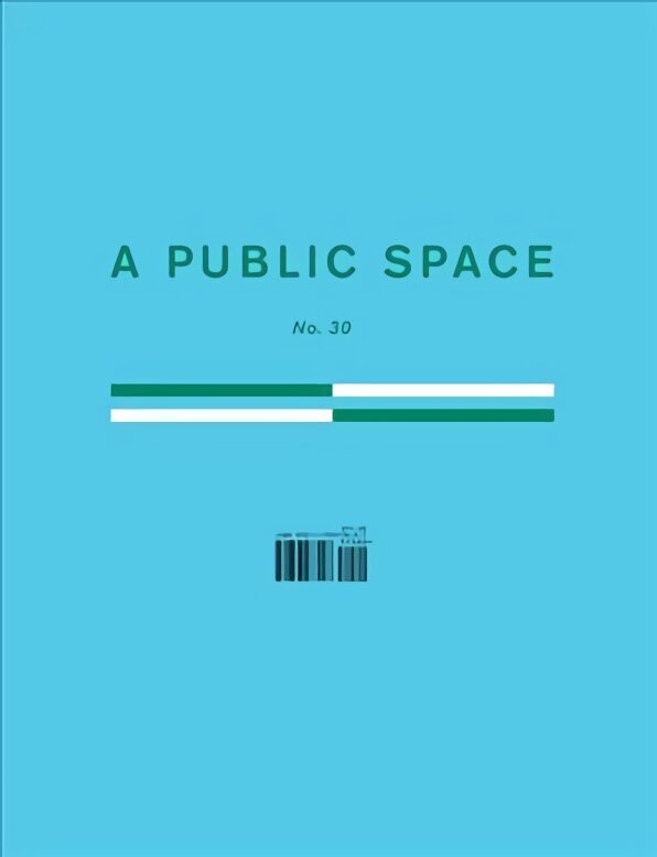 Public Space No. 30 hind ja info | Lühijutud, novellid | kaup24.ee