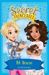 Secret Princesses: Pet Rescue: Book 15 Illustrated edition цена и информация | Книги для подростков и молодежи | kaup24.ee