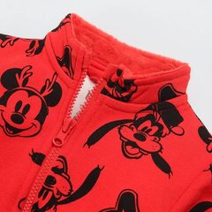 Cool Club блузон для мальчиков Disney, LCB2502708 цена и информация | Кофточки, джемперы, пиджаки для младенцев | kaup24.ee