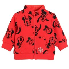 Cool Club блузон для мальчиков Disney, LCB2502708 цена и информация | Кофточки, джемперы, пиджаки для младенцев | kaup24.ee