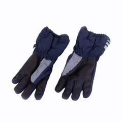 Зимние перчатки детские цена и информация | Шапки, перчатки, шарфы для мальчиков | kaup24.ee