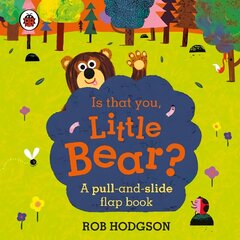 Is that you, Little Bear?: A pull-and-slide flap book цена и информация | Книги для малышей | kaup24.ee