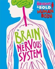 Bright and Bold Human Body: The Brain and Nervous System hind ja info | Noortekirjandus | kaup24.ee