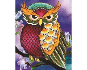 Teemantmosaiigi komplekt 17 x 21 cm, "Owl" цена и информация | Алмазная мозаика | kaup24.ee