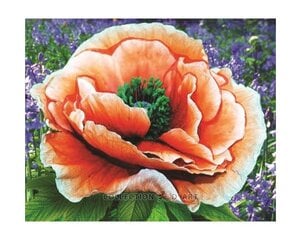 Алмазная мозаика 17x21 cm.  "Bright poppy" цена и информация | Алмазная мозаика | kaup24.ee