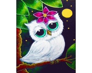 Алмазная мозаика 17x21 cm.  "White owl" цена и информация | Алмазная мозаика | kaup24.ee