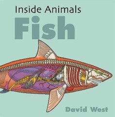 Inside Animals: Fish цена и информация | Книги для подростков и молодежи | kaup24.ee