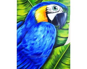 Алмазная мозаика 17x21 cm.  "Parrot" цена и информация | Алмазная мозаика | kaup24.ee