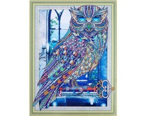 Алмазная мозаика 30x40 cm.  "Crystal owl" цена и информация | Алмазная мозаика | kaup24.ee