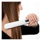 Hair straightener Dcook (50W - 33CM) цена и информация | Juuksesirgendajad ja koolutajad | kaup24.ee