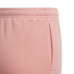 Tüdrukute püksid Adidas G Lin Ft C Pant Pink HE1975 HE1975/164 цена и информация | Штаны для девочек | kaup24.ee