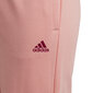 Tüdrukute püksid Adidas G Lin Ft C Pant Pink HE1975 HE1975/164 цена и информация | Tüdrukute retuusid, püksid | kaup24.ee