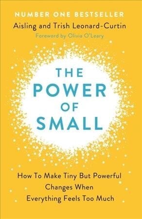 Power of Small: How to Make Tiny But Powerful Changes When Everything Feels Too Much цена и информация | Eneseabiraamatud | kaup24.ee