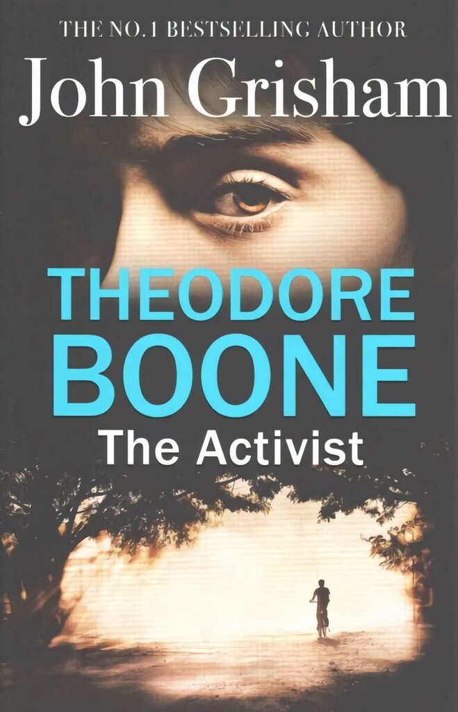 Theodore Boone: The Activist: Theodore Boone 4 hind ja info | Noortekirjandus | kaup24.ee