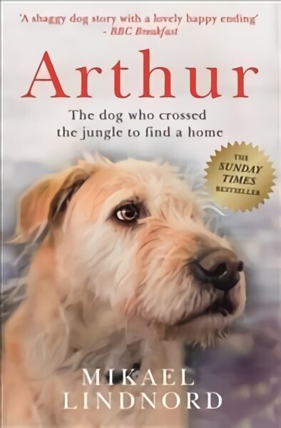 Arthur: The dog who crossed the jungle to find a home *SOON TO BE A MAJOR MOVIE 'ARTHUR THE KING' STARRING MARK WAHLBERG* цена и информация | Elulooraamatud, biograafiad, memuaarid | kaup24.ee