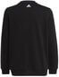 Laste džemper Adidas Logo Sweat Black HA4011 HA4011/152 hind ja info | Poiste kampsunid, vestid ja jakid | kaup24.ee