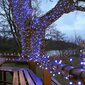 500 LED-pirniga professionaalne õue valguskett Brosberg, sinine цена и информация | Jõulutuled | kaup24.ee