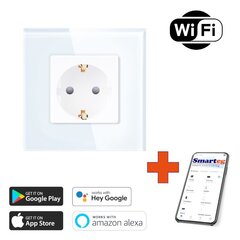 1x Wi-Fi nutikas klaasist pistikupesa цена и информация | Выключатели, розетки | kaup24.ee