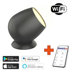 Led Wi-Fi dekoratiivne lamp цена и информация | Уличное освещение | kaup24.ee